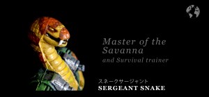 Sergeant Snake ID