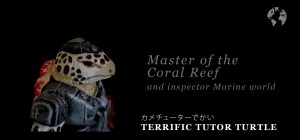 Terrific Tutor Turtle ID